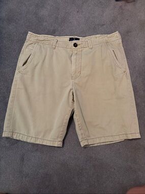 American Eagle Outfitters Khaki Flat-Front Chino Shorts